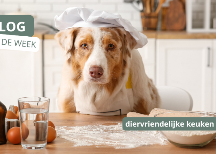 7 tips voor een warme en gezellige herfstkeuken