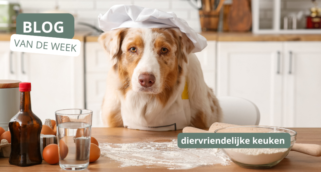 Een diervriendelijke keuken