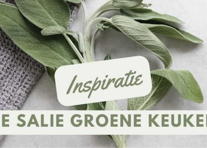 De salie groene keuken - Keuken Trends en Inspiratie
