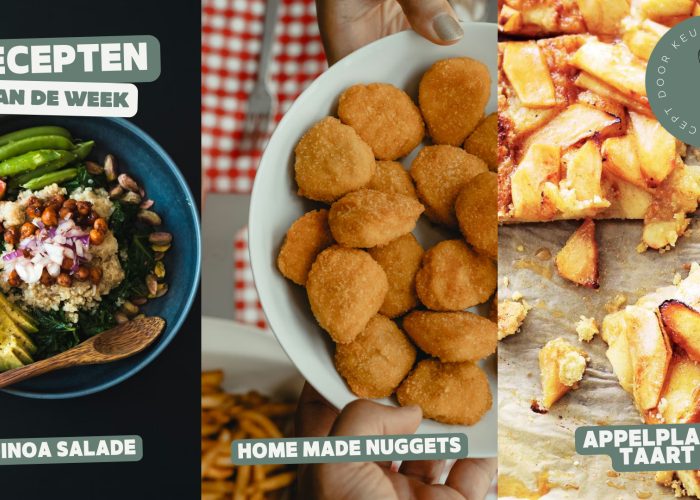 Quinoa Salade, Kipnuggets en Appelplaattaart